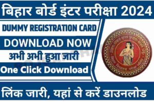 BSEB Inter Dummy Registration Card 2023