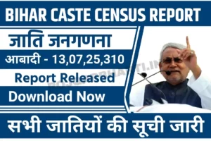 Bihar Caste Census Report